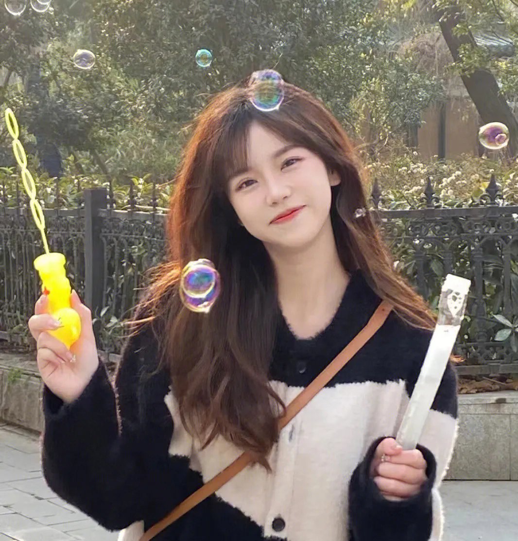 胡桃夹子和四个王国国语